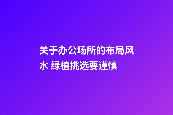 关于办公场所的布局风水 绿植挑选要谨慎